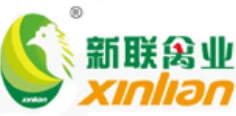 新联